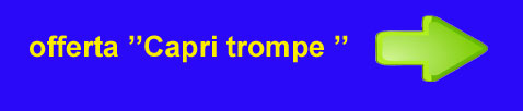 trompe prezzo scontato